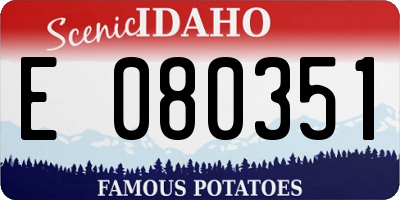 ID license plate E080351