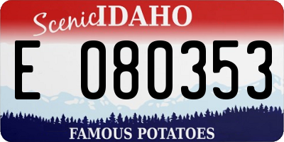 ID license plate E080353