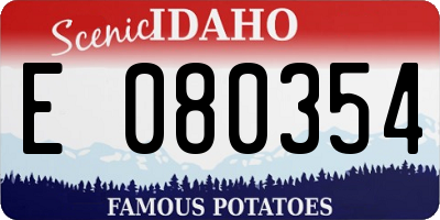 ID license plate E080354