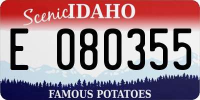 ID license plate E080355