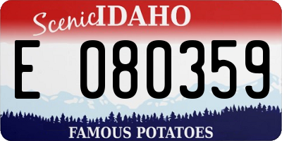 ID license plate E080359