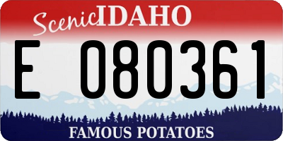 ID license plate E080361