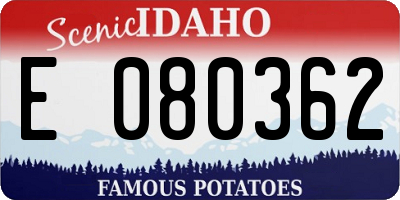 ID license plate E080362