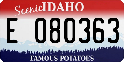 ID license plate E080363