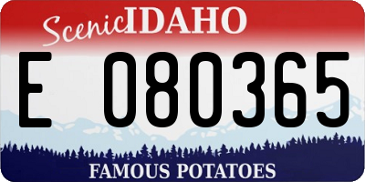 ID license plate E080365
