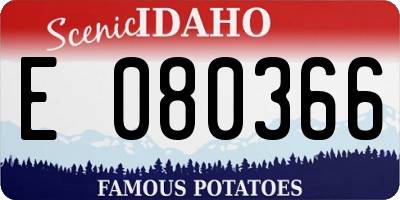 ID license plate E080366