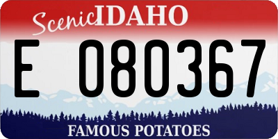 ID license plate E080367