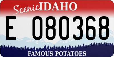 ID license plate E080368
