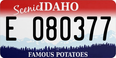ID license plate E080377