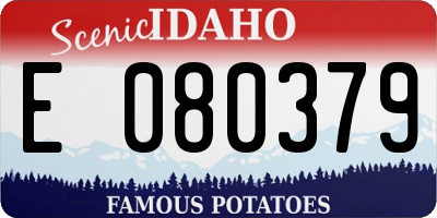 ID license plate E080379