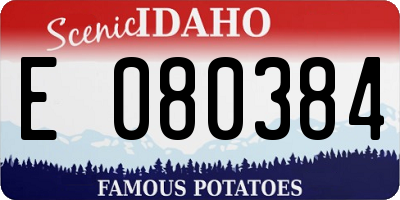 ID license plate E080384