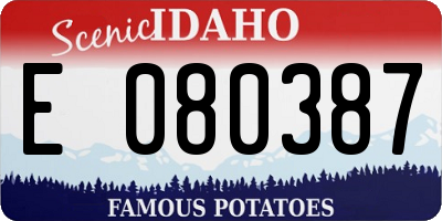 ID license plate E080387