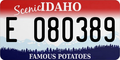 ID license plate E080389