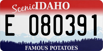 ID license plate E080391