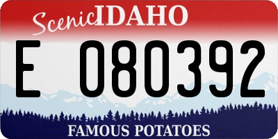 ID license plate E080392