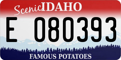 ID license plate E080393