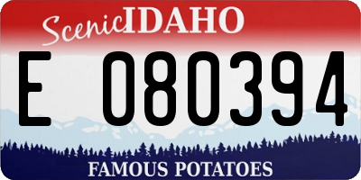 ID license plate E080394