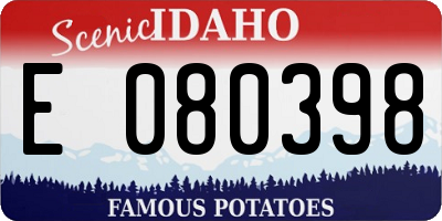 ID license plate E080398