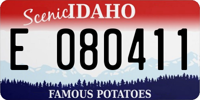 ID license plate E080411