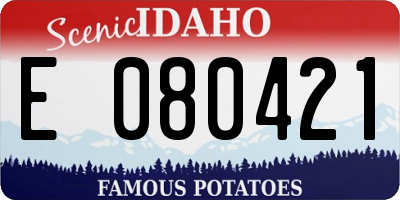 ID license plate E080421