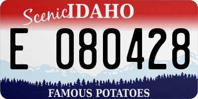 ID license plate E080428