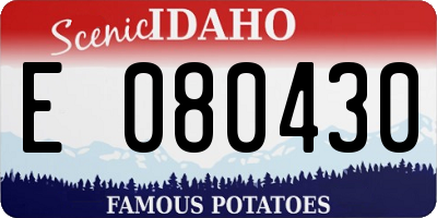 ID license plate E080430