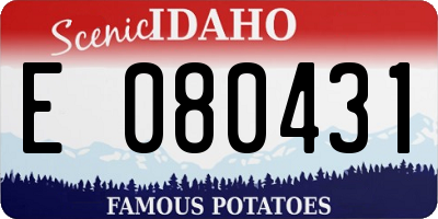 ID license plate E080431