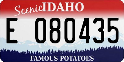ID license plate E080435