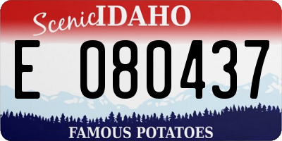 ID license plate E080437