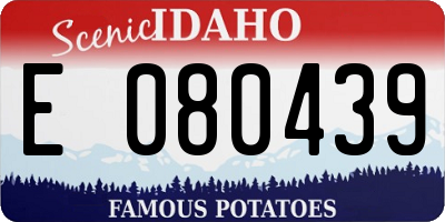 ID license plate E080439