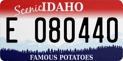 ID license plate E080440