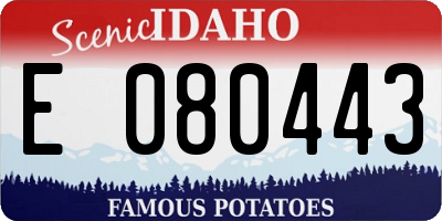 ID license plate E080443
