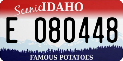 ID license plate E080448
