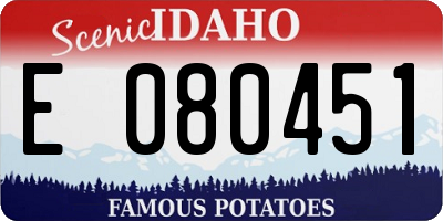 ID license plate E080451