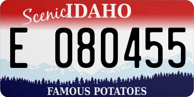 ID license plate E080455