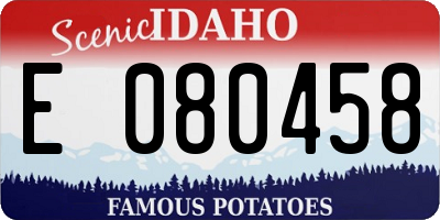 ID license plate E080458