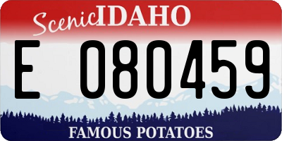 ID license plate E080459