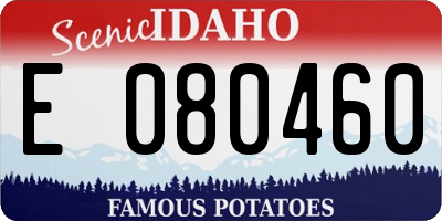 ID license plate E080460