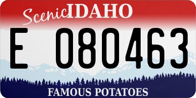 ID license plate E080463