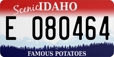 ID license plate E080464