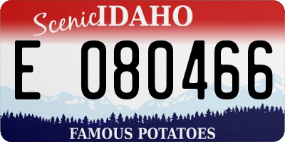 ID license plate E080466
