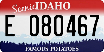 ID license plate E080467