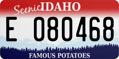 ID license plate E080468