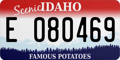 ID license plate E080469