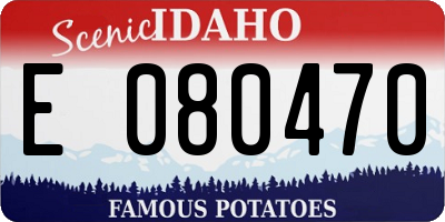 ID license plate E080470