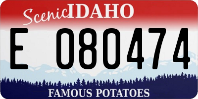 ID license plate E080474
