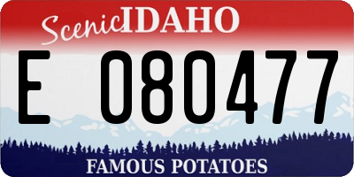 ID license plate E080477