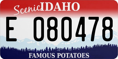 ID license plate E080478