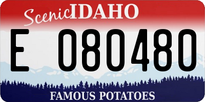 ID license plate E080480