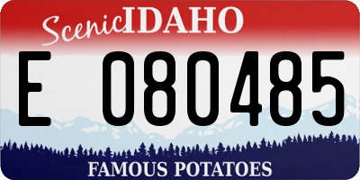 ID license plate E080485
